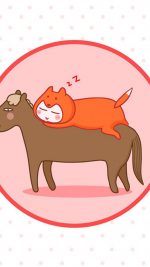 Funny Cat and Horse Sleeping