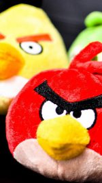 Real Angry Bird Toy