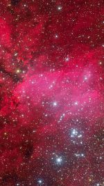 Pink Nebula