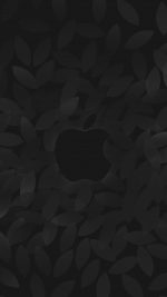 Apple In Fall Dark
