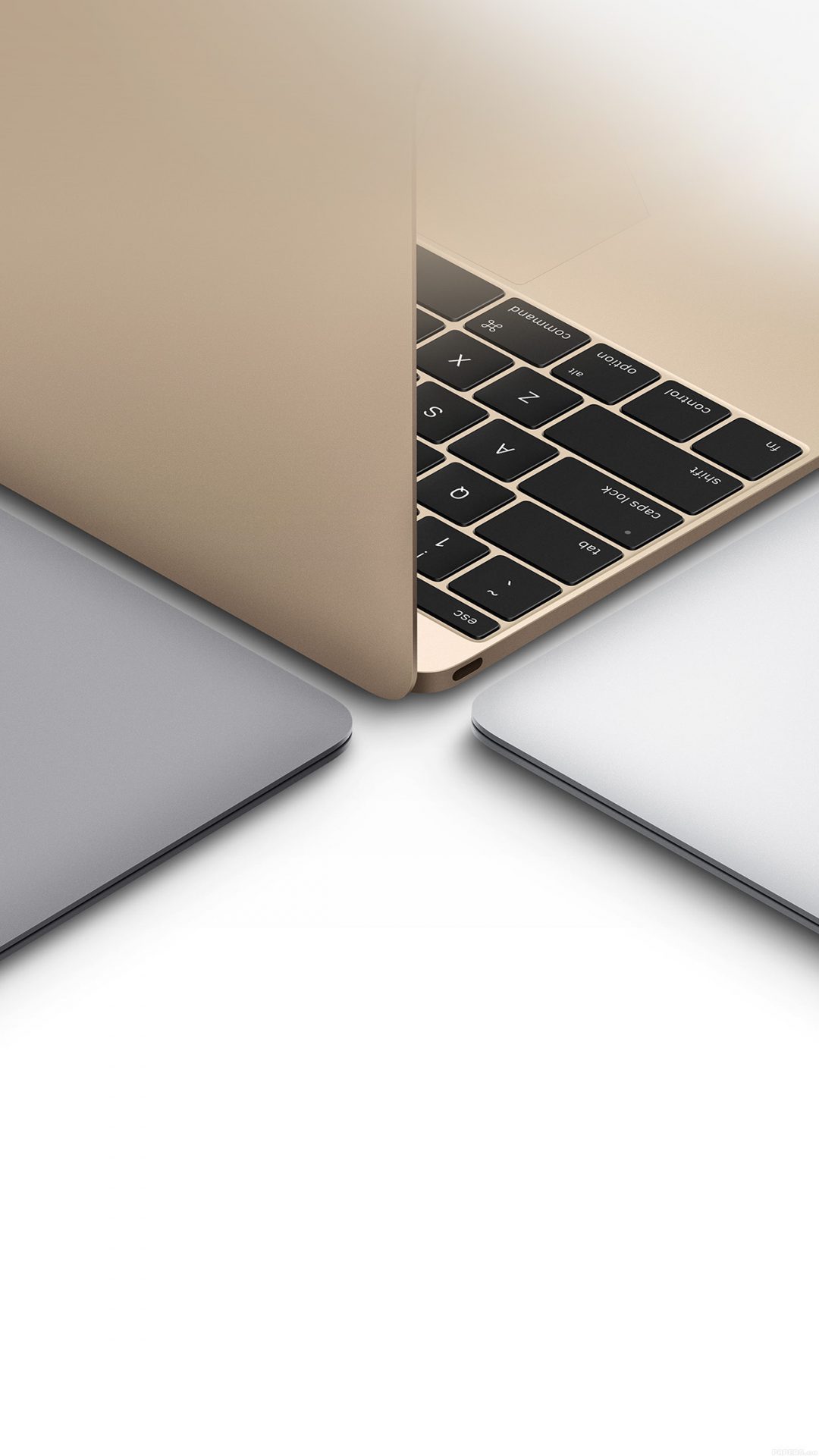 Apple MacBook Gold Silver Slate Gray Art