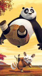 Kungfu Panda Dreamworks Art Kick Cute Anime