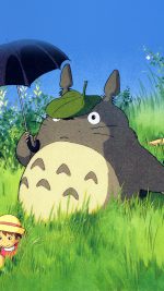 Totoro Art Cute Anime Illustration