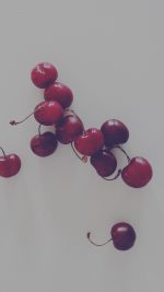 Cherry Red Dark Paula Borowska Fruit Nature