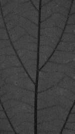 Dark Leaf Texture Nature Pattern