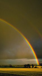 Double Rainbow Nature