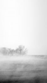 Fog White Field Nature