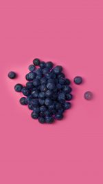Food Blueberry Pink Art Nature