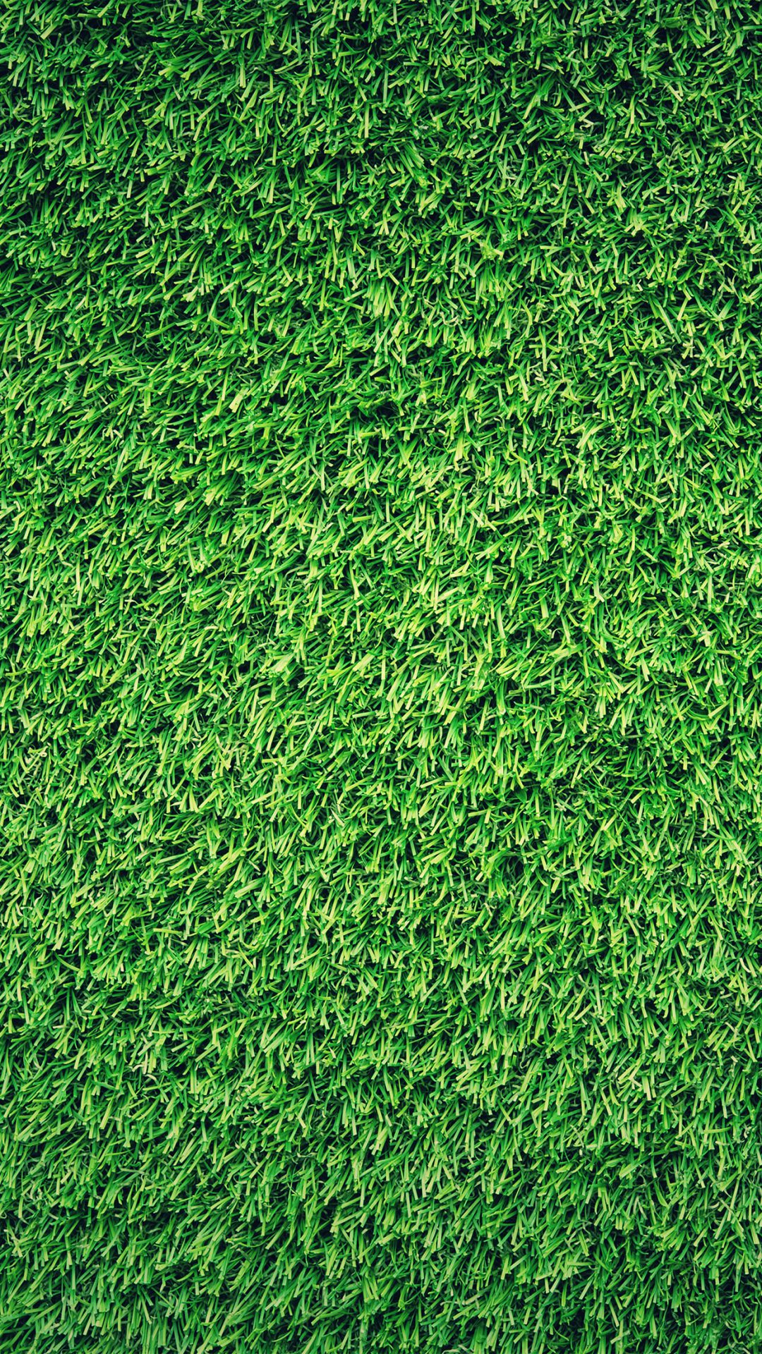 Grass Green Pattern Nature