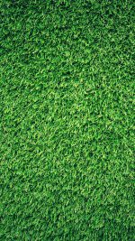 Grass Green Pattern Nature