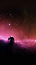 Horse Head Nebula Sky Space Stars
