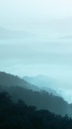 Mountain Fog Green Nature