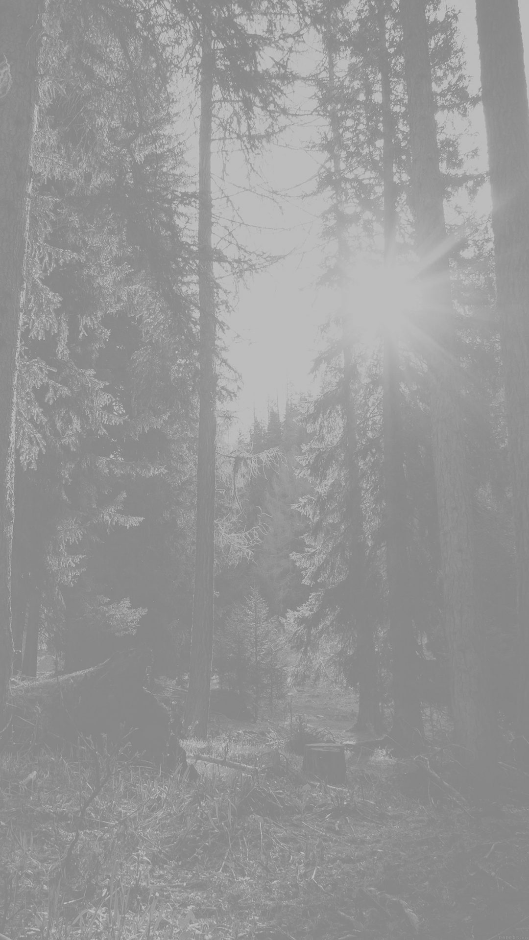 Mountain Sunlight White Marco Jorger Nature