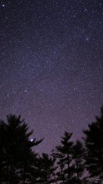 Night Sky Star Space Starry Wood Dark