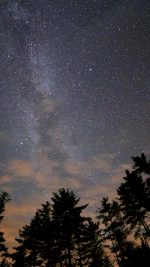 Night Sky Stars Milkyway Wood Nature