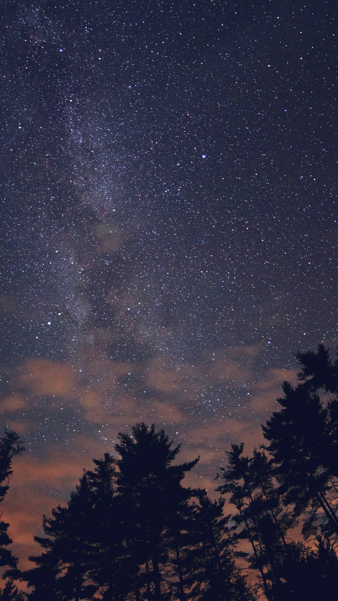 Night Sky Stars Milkyway Wood Nature Blue