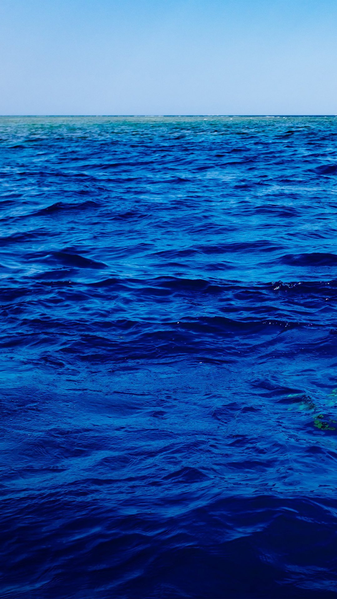 Sea Blue Ocean Nature Summer Swim
