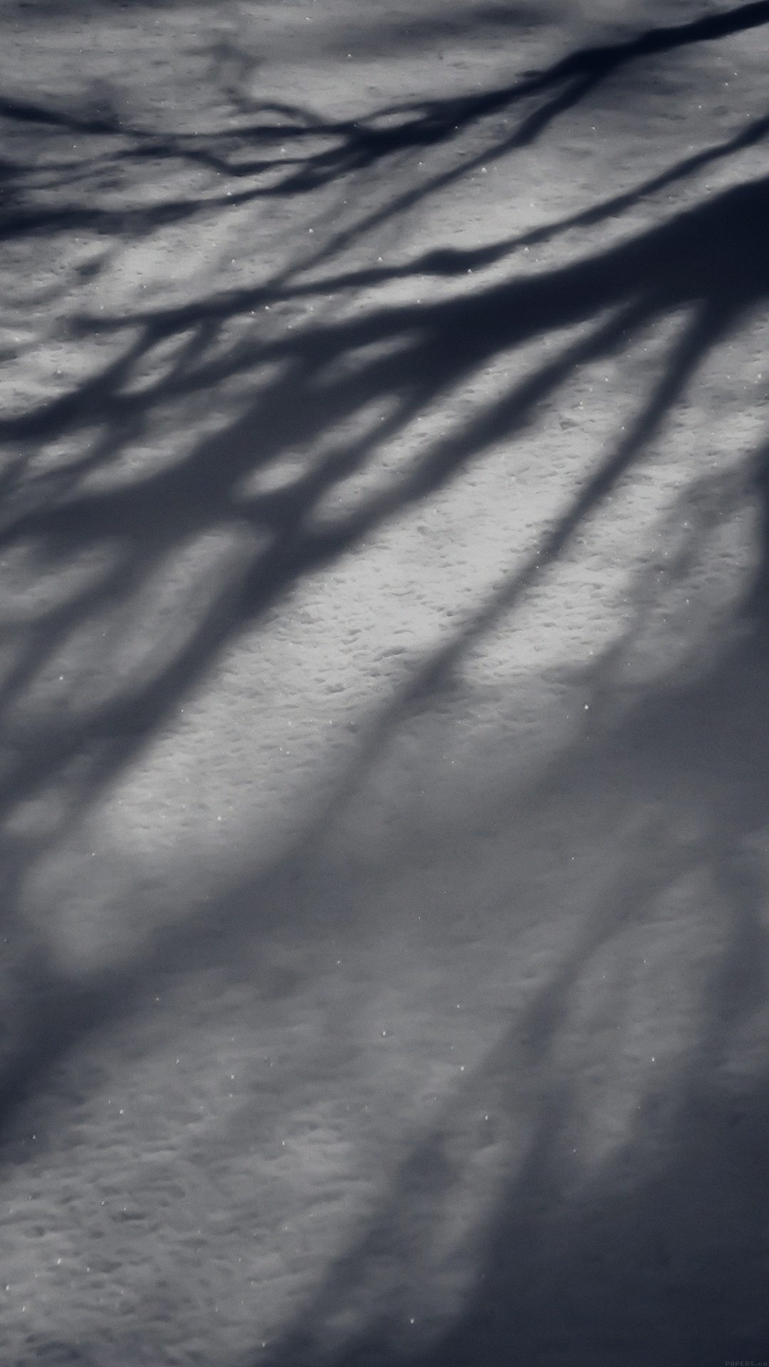 Snow Shadow Winter Tree Nature