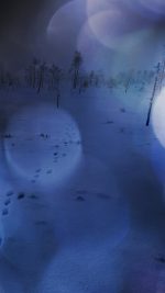 Snow Walk Winter Dark Blue Bokeh Footprints Nature Mountain