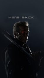 Terminator He Is Back Film Arnold Hero