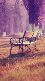 Wallpaper Fall Blue Park Chair Lonely Nature