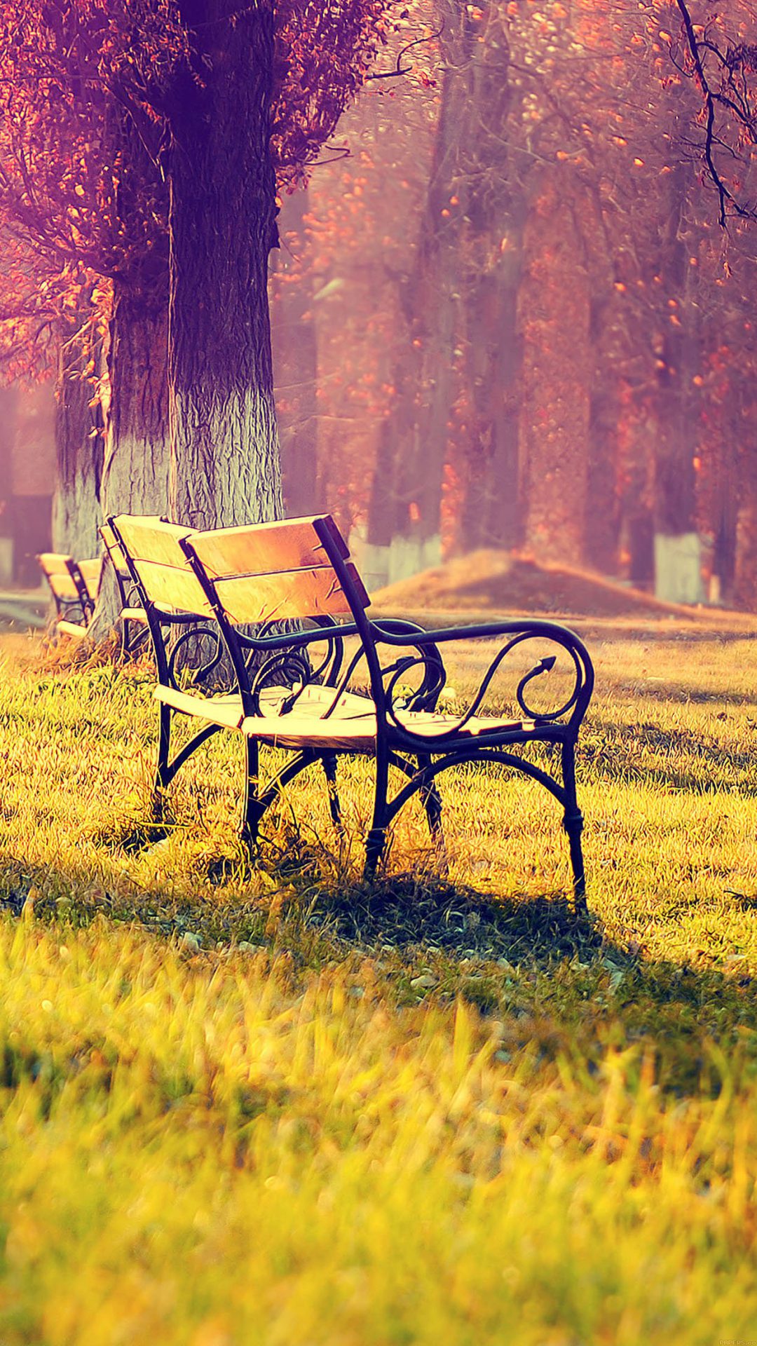 Wallpaper Fall Park Chair Lonely Nature