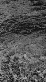 Water Ripples Sea Dark Bw Nature Pattern