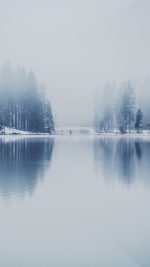 Winter Lake White Blue Wood Nature
