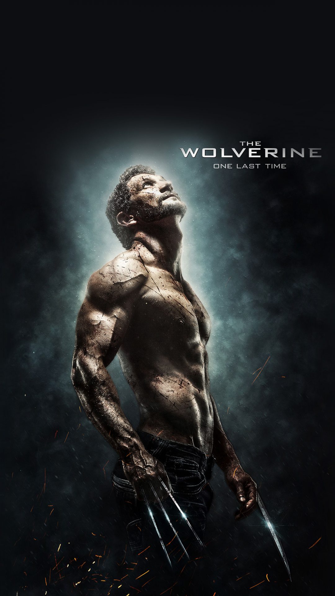 Wolverine Last Hero Art Film