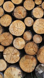 Wood Nature Cut Pattern