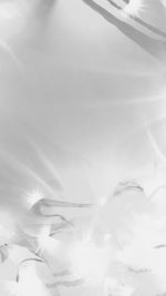 Design Background Art Abstract White