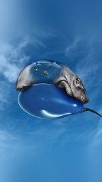 Hippo Bored Ballon Sky Blue Art Illust Animal