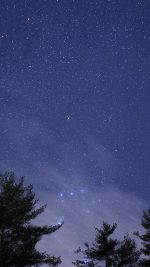 Night Sky Star Wood Space Starry