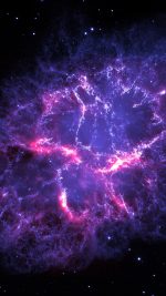 This new Hubble image - One among the largest ever produced with the Earth-orbiting observatory - shows gives the most detailed view so far of the entire Crab Nebula ever made. The Crab is arguably the single most interesting object, as well as one of the most studied, in all of astronomy. The image is the largest image ever taken with Hubble's WFPC2 workhorse camera. The Crab Nebula is one of the most intricately structured and highly dynamical objects ever observed. The new Hubble image of the Crab was assembled from 24 individual exposures taken with the NASA/ESA Hubble Space Telescope and is the highest resolution image of the entire Crab Nebula ever made.