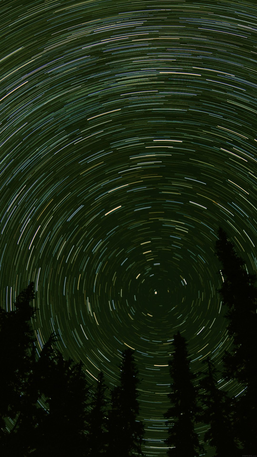 Star Trail Green Tree Space Night Nature
