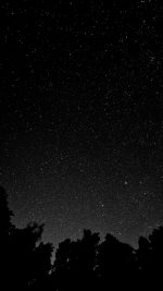 Starry Night Sky Star Galaxy Space White Black