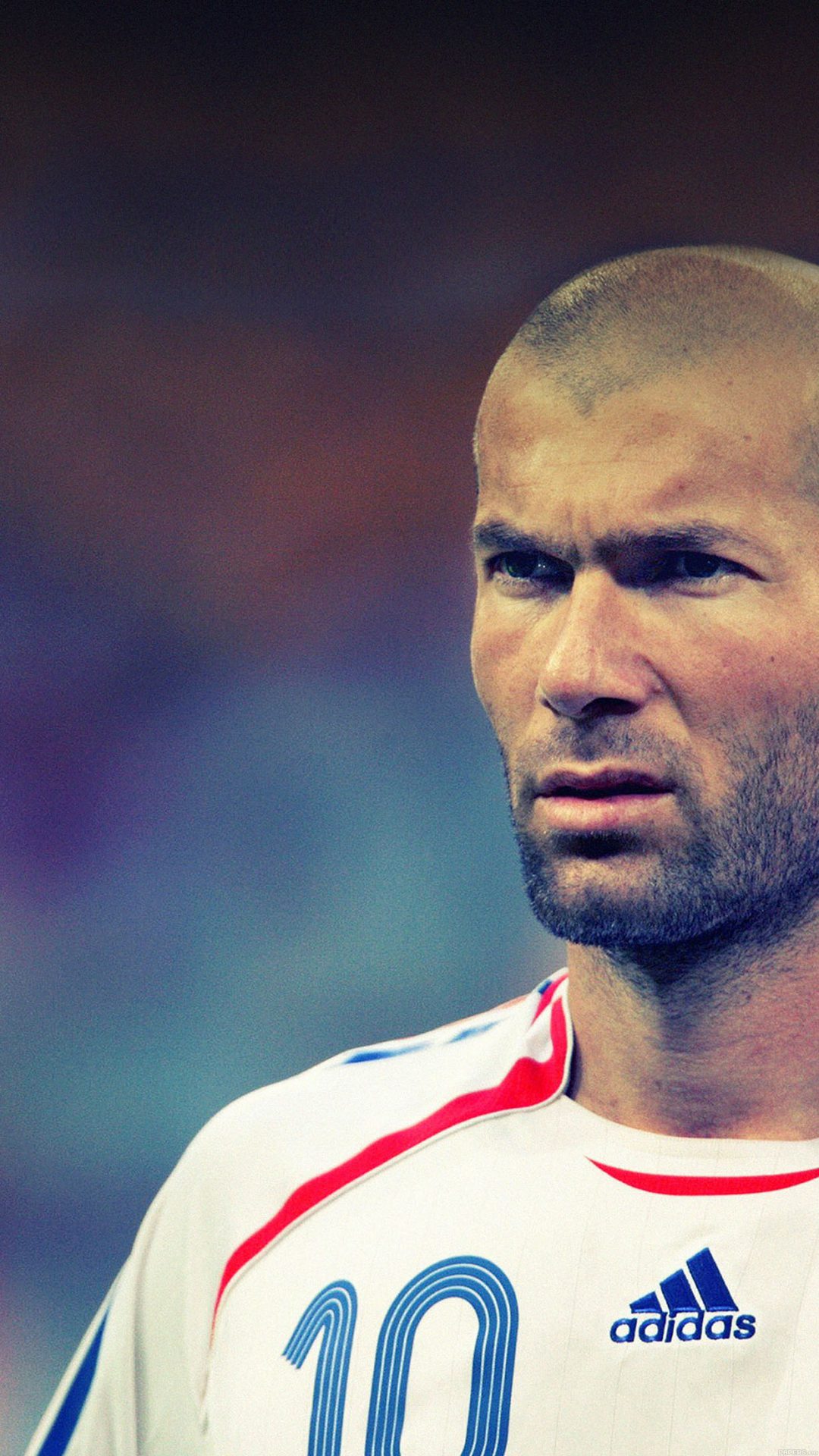 Wallpaper Zidane Soccer Star Sports